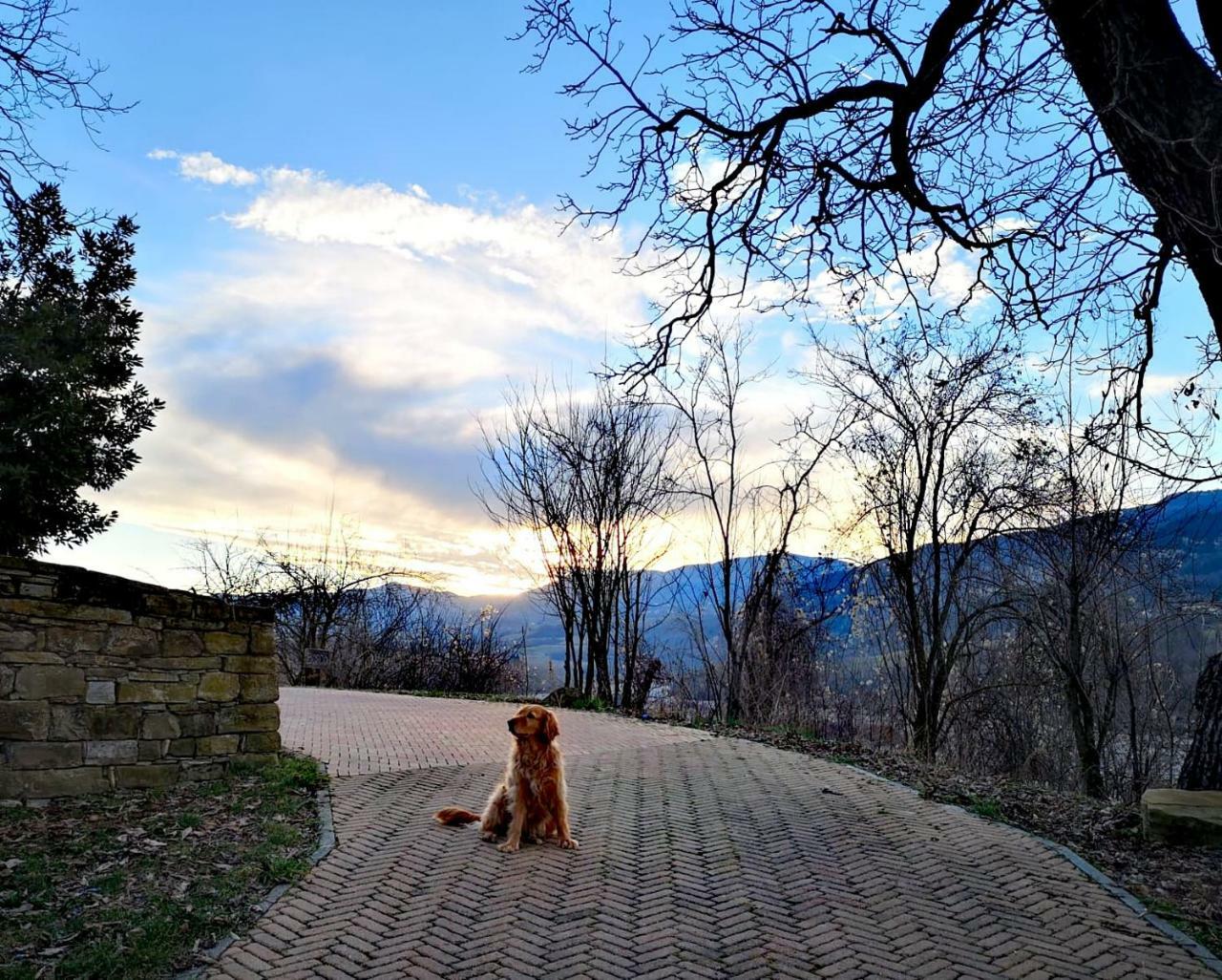 Agriturismo Il Salice Tizzano Val Parma Ngoại thất bức ảnh